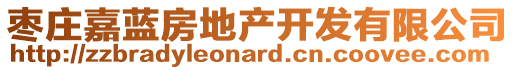 棗莊嘉藍(lán)房地產(chǎn)開發(fā)有限公司