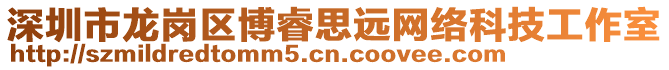 深圳市龍崗區(qū)博睿思遠(yuǎn)網(wǎng)絡(luò)科技工作室