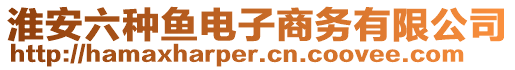 淮安六种鱼电子商务有限公司