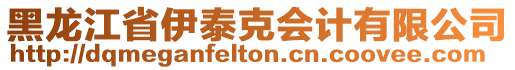 黑龍江省伊泰克會(huì)計(jì)有限公司