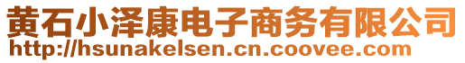 黃石小澤康電子商務(wù)有限公司