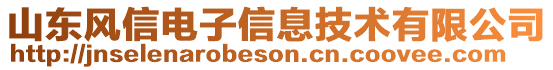 山東風(fēng)信電子信息技術(shù)有限公司