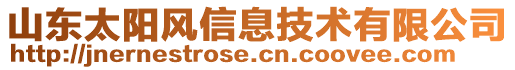 山東太陽風信息技術有限公司