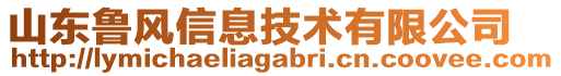 山東魯風(fēng)信息技術(shù)有限公司