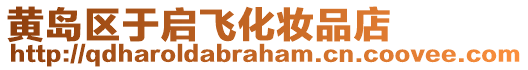 黃島區(qū)于啟飛化妝品店