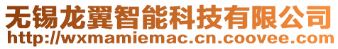 無錫龍翼智能科技有限公司