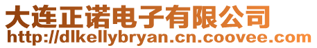 大連正諾電子有限公司