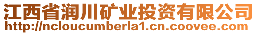 江西省潤(rùn)川礦業(yè)投資有限公司