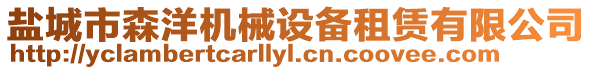 鹽城市森洋機(jī)械設(shè)備租賃有限公司