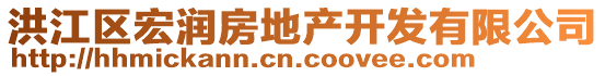 洪江區(qū)宏潤(rùn)房地產(chǎn)開(kāi)發(fā)有限公司