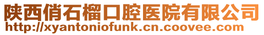 陜西俏石榴口腔醫(yī)院有限公司