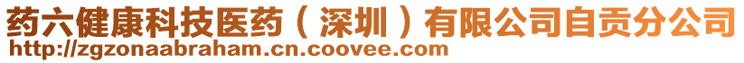 藥六健康科技醫(yī)藥（深圳）有限公司自貢分公司