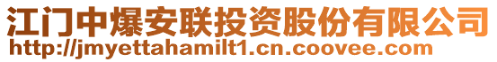 江門中爆安聯(lián)投資股份有限公司