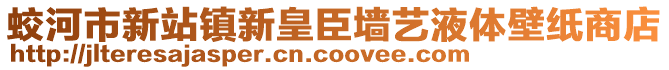 蛟河市新站镇新皇臣墙艺液体壁纸商店