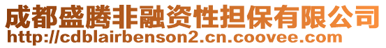 成都盛腾非融资性担保有限公司