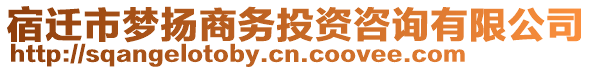 宿遷市夢(mèng)揚(yáng)商務(wù)投資咨詢有限公司