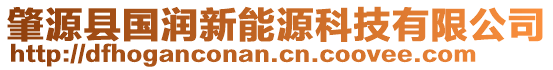 肇源县国润新能源科技有限公司