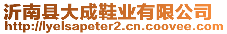 沂南縣大成鞋業(yè)有限公司
