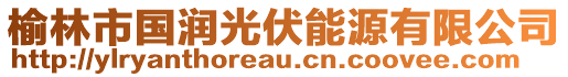 榆林市国润光伏能源有限公司