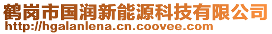 鶴崗市國(guó)潤(rùn)新能源科技有限公司