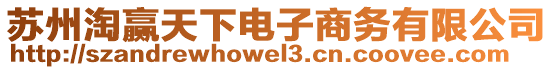 蘇州淘贏天下電子商務(wù)有限公司