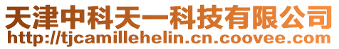 天津中科天一科技有限公司