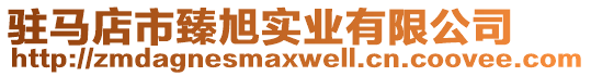 驻马店市臻旭实业有限公司