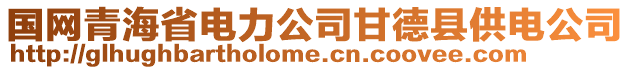 國網(wǎng)青海省電力公司甘德縣供電公司