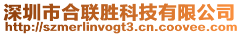 深圳市合聯(lián)勝科技有限公司