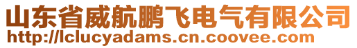 山東省威航鵬飛電氣有限公司