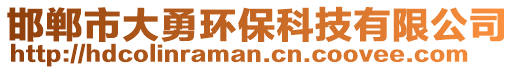 邯鄲市大勇環(huán)保科技有限公司