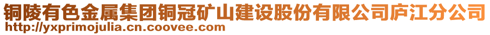 銅陵有色金屬集團銅冠礦山建設股份有限公司廬江分公司