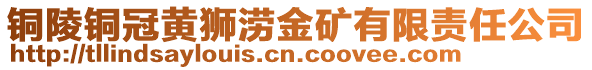 銅陵銅冠黃獅澇金礦有限責(zé)任公司