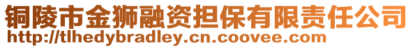 銅陵市金獅融資擔(dān)保有限責(zé)任公司