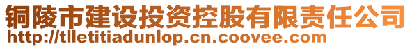 銅陵市建設(shè)投資控股有限責(zé)任公司