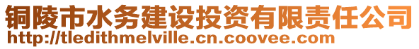 銅陵市水務(wù)建設(shè)投資有限責(zé)任公司