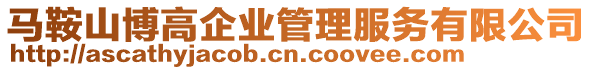 馬鞍山博高企業(yè)管理服務有限公司