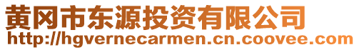 黃岡市東源投資有限公司