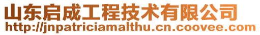 山東啟成工程技術有限公司