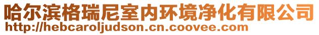 哈爾濱格瑞尼室內(nèi)環(huán)境凈化有限公司