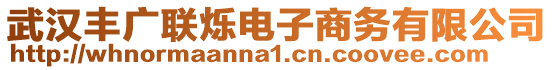 武漢豐廣聯(lián)爍電子商務(wù)有限公司