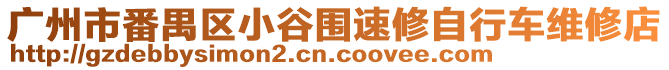 廣州市番禺區(qū)小谷圍速修自行車維修店