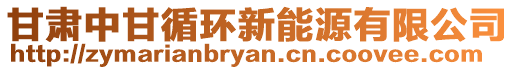 甘肅中甘循環新能源有限公司