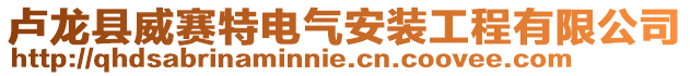 盧龍縣威賽特電氣安裝工程有限公司