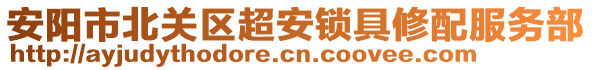 安阳市北关区超安锁具修配服务部