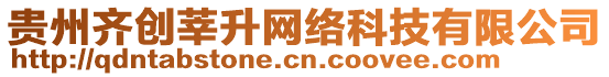 貴州齊創(chuàng)莘升網(wǎng)絡(luò)科技有限公司