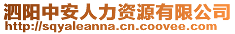 泗陽中安人力資源有限公司
