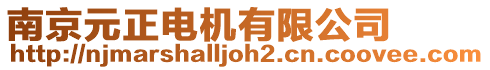 南京元正電機有限公司