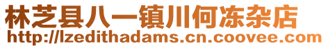 林芝縣八一鎮川何凍雜店