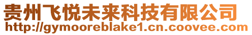 貴州飛悅未來(lái)科技有限公司